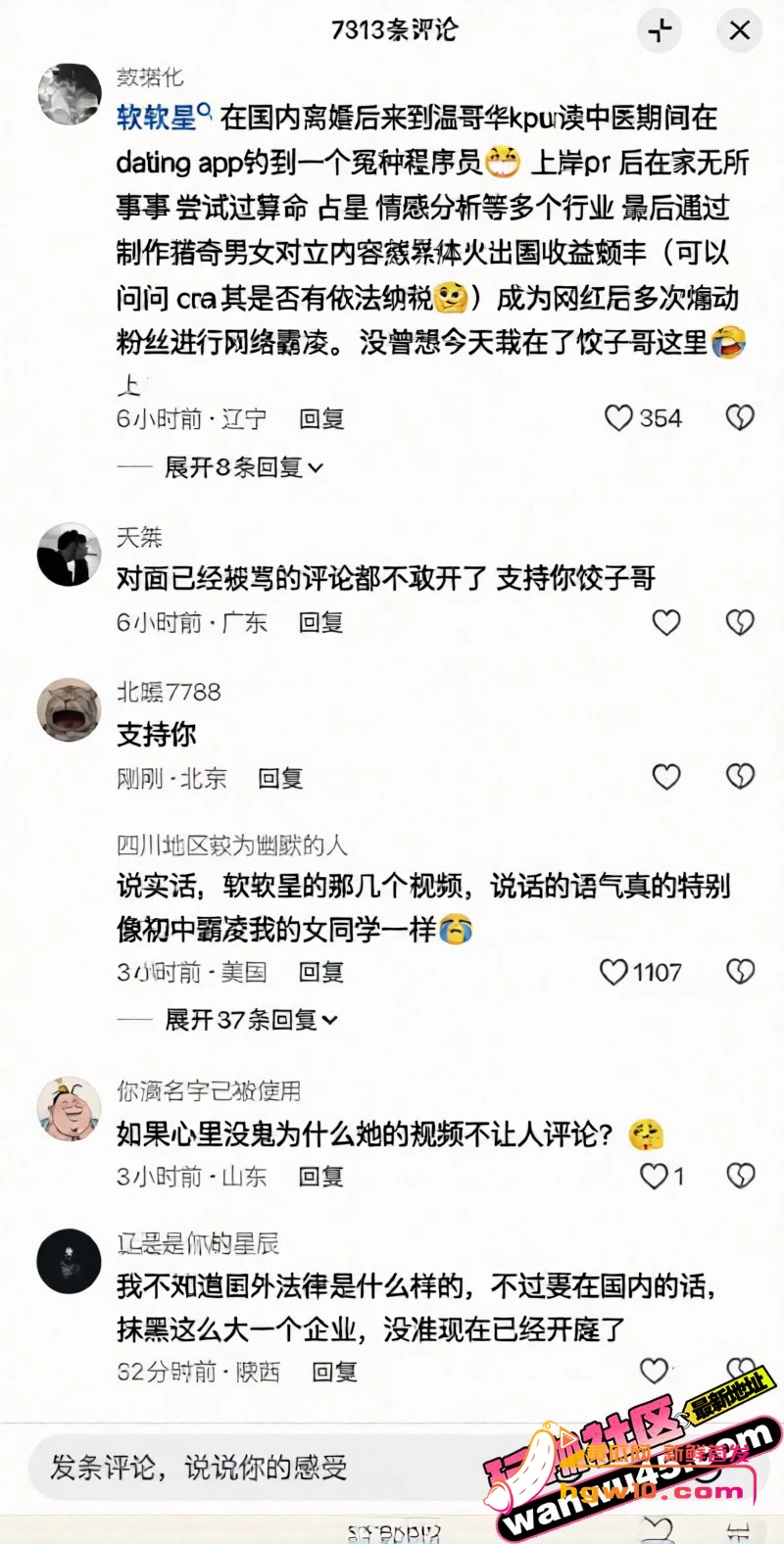 温哥华网红软软星因广告纠纷网暴商家，掉粉40万彻底塌房