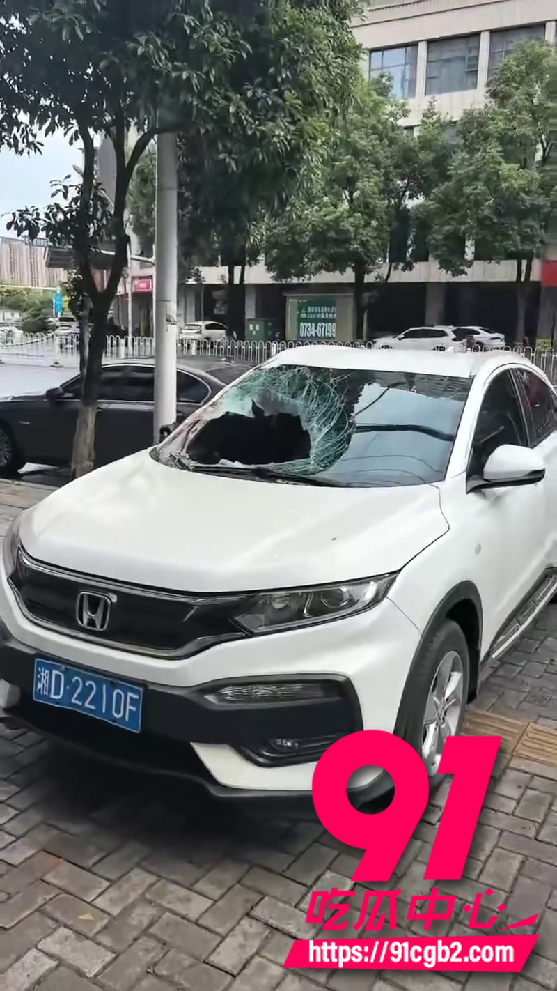 湖南祁东二十多岁女生 跳楼砸中车辆脑浆糊满车内 车主不幸中招 车辆严重损毁