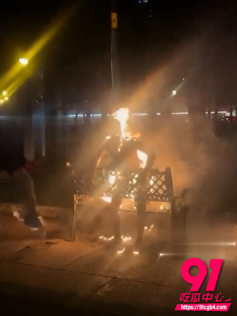 越南胡志明市公园自焚事件 男子赌球失败公园自焚 被扑灭后仍清醒等待救援 现场视频流出！
