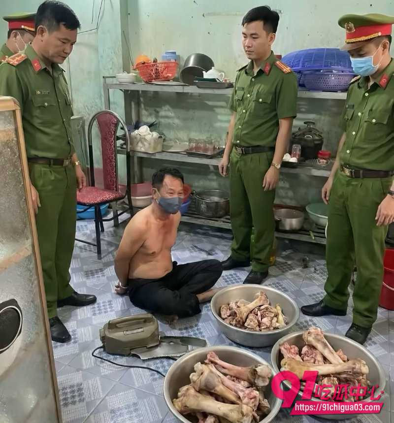 越南屠夫落网真实身份竟是高级军官13