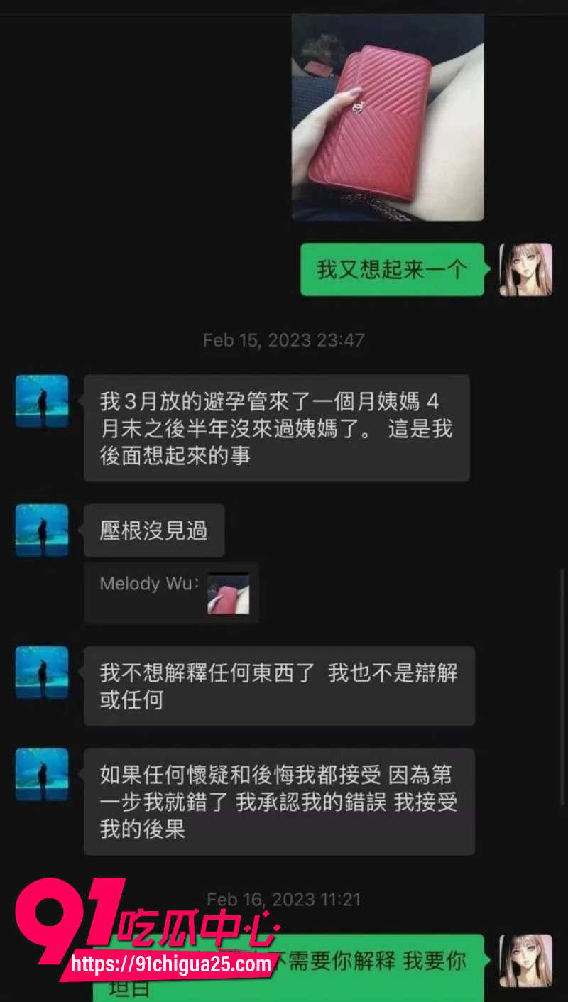 闺蜜借住澳洲家偷走78个奢侈品包9 闺蜜借住澳洲家偷走78个奢侈品包9